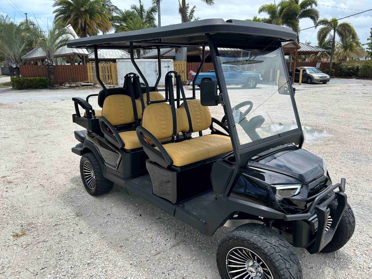 NEW Southern Golf Cars